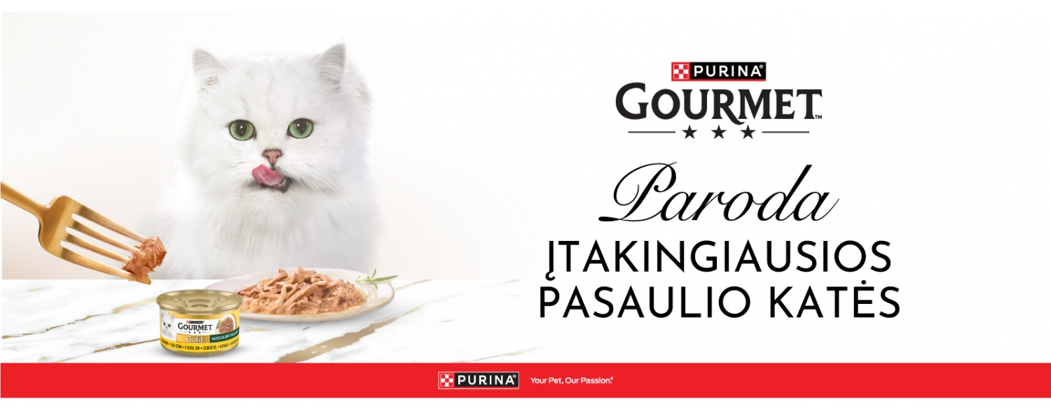 PURINA Gourmet žymių kačių paroda