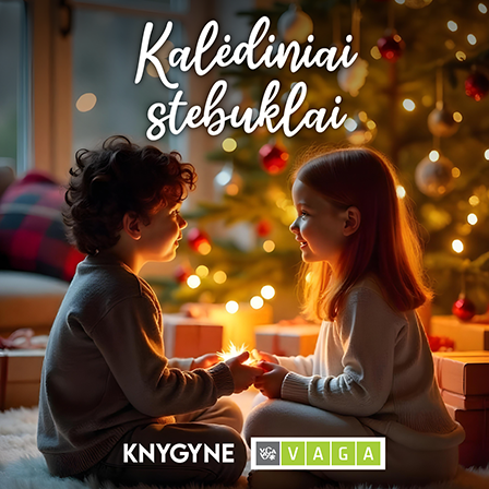 Kalėdiniai stebuklai VAGA KNYGYNE