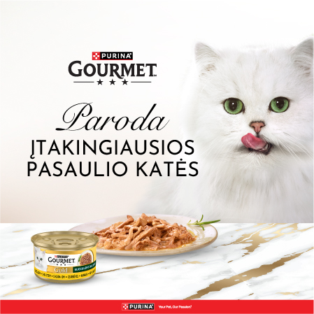 PURINA Gourmet žymių kačių paroda
